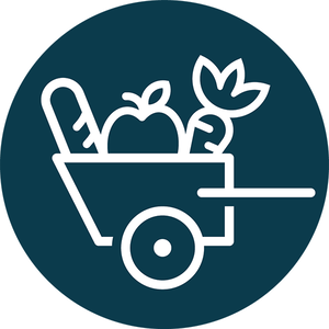 Team Page: FRUS - Charleston